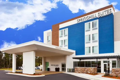 蒙哥馬利普拉特維爾-米爾布魯克萬豪SpringHill Suites飯店 - 健身房