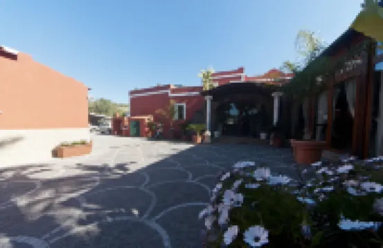 Hotel Villa Franca Hotels in 