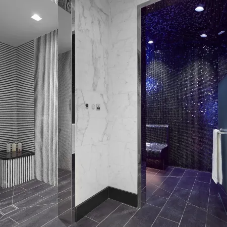 Waldorf Astoria Beverly Hills
