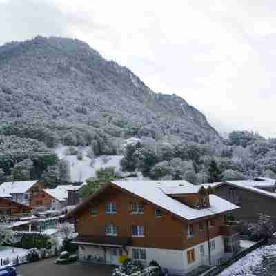 Alpenrose Hotel and Gardens Hotel Exterior