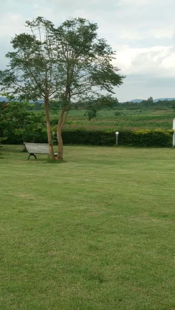 รูปภาพของเลส คอลลิเนส รีสอร์ต