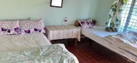 Moonlight Camping Site and Homestay Hotels in Dhital