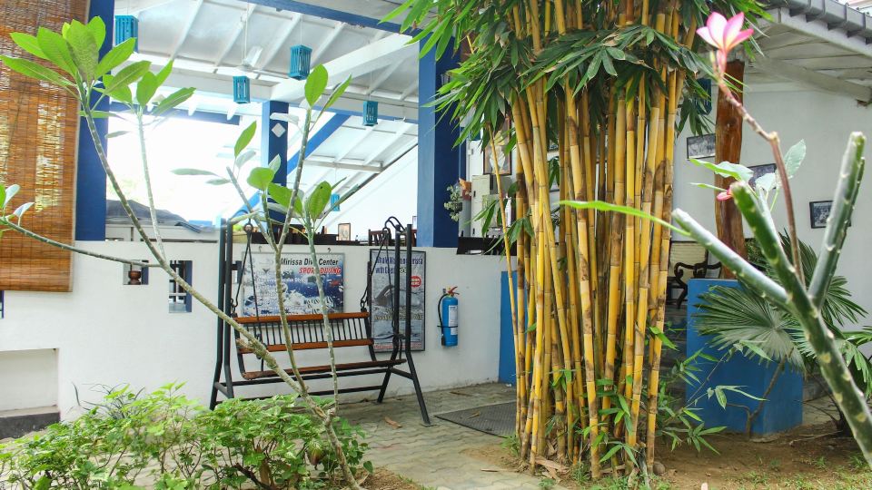 Aaradhya Mirissa Cozy Getaway