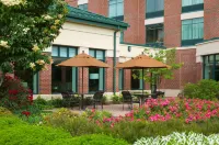 Hilton Garden Inn Hartford South/Glastonbury Hotels in Wethersfield