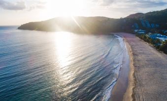 71 Hastings Street - Beachfront