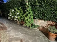 Stunning 2 Bed Cotswold Cottage Winchcombe Hotels near Upper Slaughter