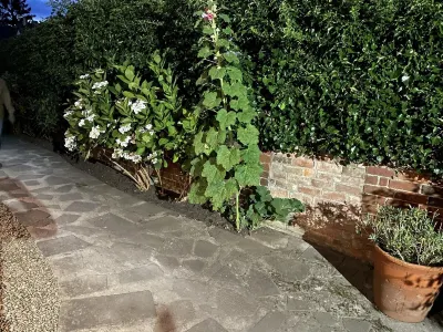 Stunning 2 Bed Cotswold Cottage Winchcombe Hotels near Upper Slaughter