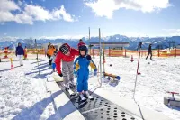 Chalet on Feuerkogel With Stunning Views