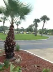 Nassau Holiday Motel