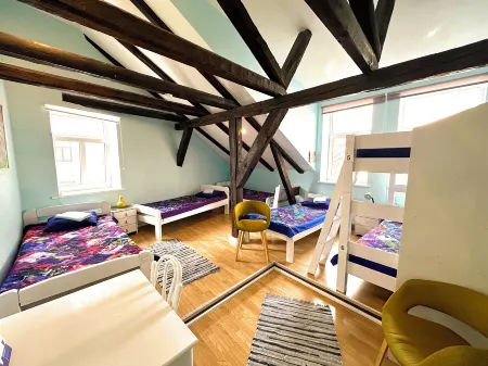 Central Hostel Отели рядом с достопримечательностью «Латвийская академия наук (LZA)»