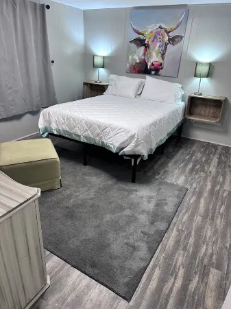 Charming Country Cottage 3-bedroom house in Leesville with WiFi and AC