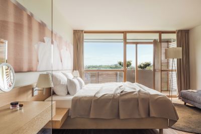 デラックス・ルーム ファルケンスタイナー バランス リゾート シュテガースバッハ(大人専用)の写真