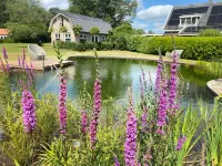 Morning Glory: Huisje Forest. Stijlvolle en Luxe Accommodatie Hotels in Beekbergen