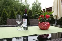 wonderful apart in Gerlosberg