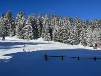 Ski on your feet. On Bellecôte, height of the Alpine Garden. Couffe 1850