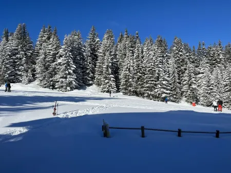 Ski on your feet. On Bellecôte, height of the Alpine Garden. Couffe 1850