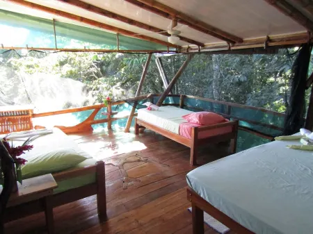 The Osa Peninsula is teeming with exotic monkeys, birds, and wildlife.