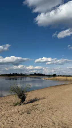 Lovingly restored half-timbered house in a romantic city center location Отели в г. Ханзештадт Вербен