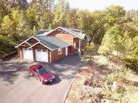 Peaceful Elegace in the Forest