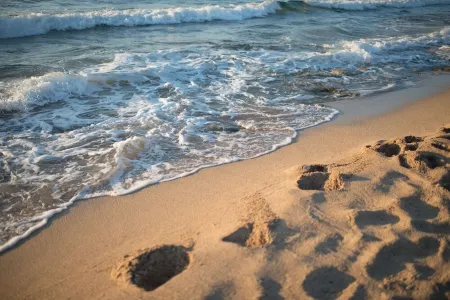 Exceptional villa with pool on the seafront