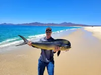 Serene Jewel on the Sea of CortezSleeps 8, 4 bedrooms, 4.5 baths + Pool