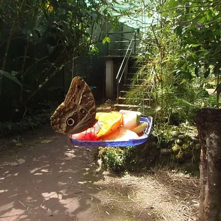 Hostal Pablo's House