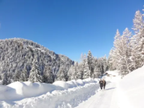Boutique Hotel Haidachhof Superior Hotels in Fugen