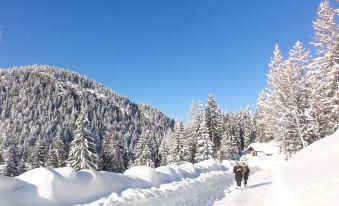Boutique Hotel Haidachhof Superior