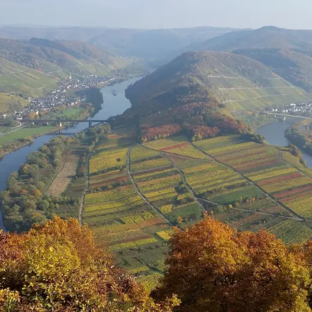 Weinhaus Berg