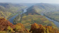 Weinhaus Berg