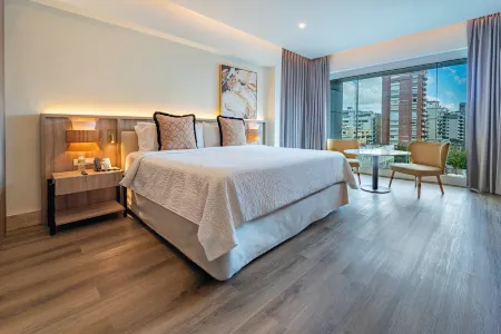 Holiday Inn 聖多明戈