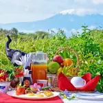Tulia Amboseli Safari Camp - Wifi