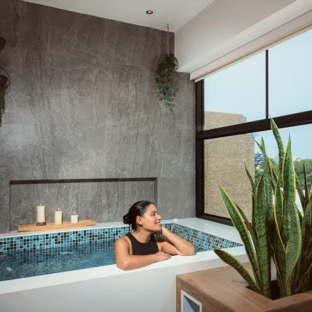 Palmetto Hotel Business San Miguel
