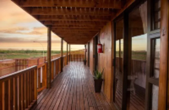 Kalahari Lion's Rest