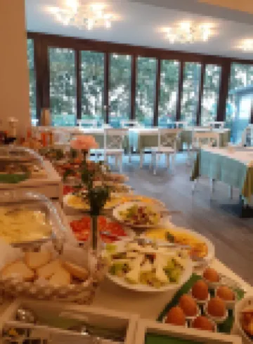 호텔 레 마시네