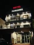 Hotel Padmashree - Mountain view