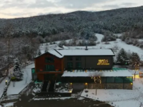 Abant Lotus Otel Hotels in 