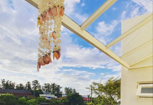 제주 스테이도노 펜션