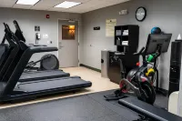 Hampton Inn & Suites Leesburg - Træningscentre