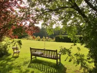 Ingleby Manor - Gun Room