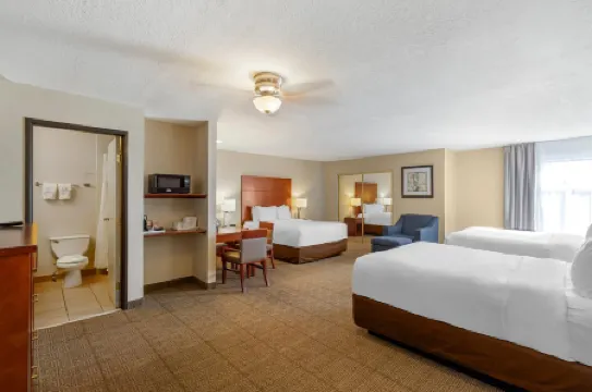 Comfort Inn & Suites Near Fallon Naval Air Station
