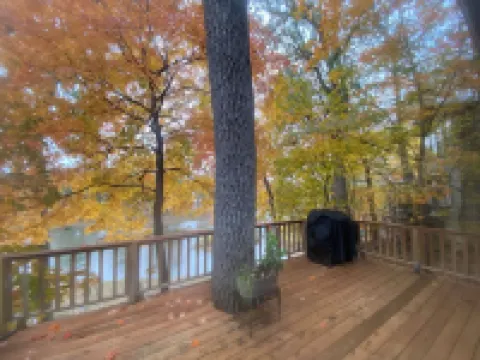 Historic "Woody" Cabin on the River at Miramichee Falls with Kayaks Hoteles en Condado de Sharp