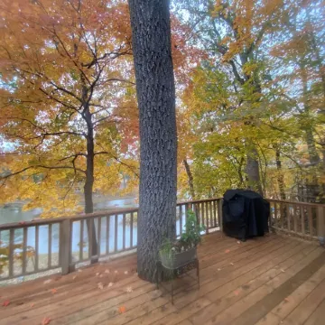 Historic "Woody" Cabin on the River at Miramichee Falls w/kayaks