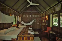 Our Jungle House