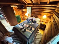 Log Cabin on Tunnel of Trees  with Lake Michigan View!