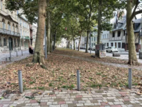 Apparently Rougemare