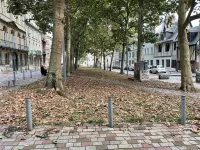 Apparently Rougemare