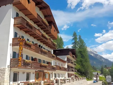 Hotel des Alpes Отели в г. San Cassiano