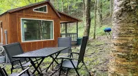 Private Tiny Cabin/Mountain Hiking/National Forest! Hotels in Valley Bend