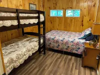 Charming 3-bedroom house in Pioneer with WiFi and AC